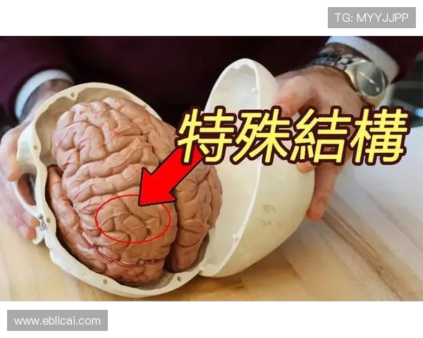 《韩剧Sign》:当法医遇上天才,一场关于真相的生死较量 《韩剧Sign》:当法医遇上天才,一场关于真相的生死较量