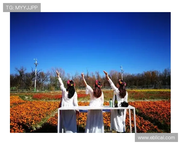 且听风吟:一场关于光影的浪漫邂逅,一段关于电影的诗意旅程 且听风吟:一场关于光影的浪漫邂逅,一段关于电影的诗意旅程